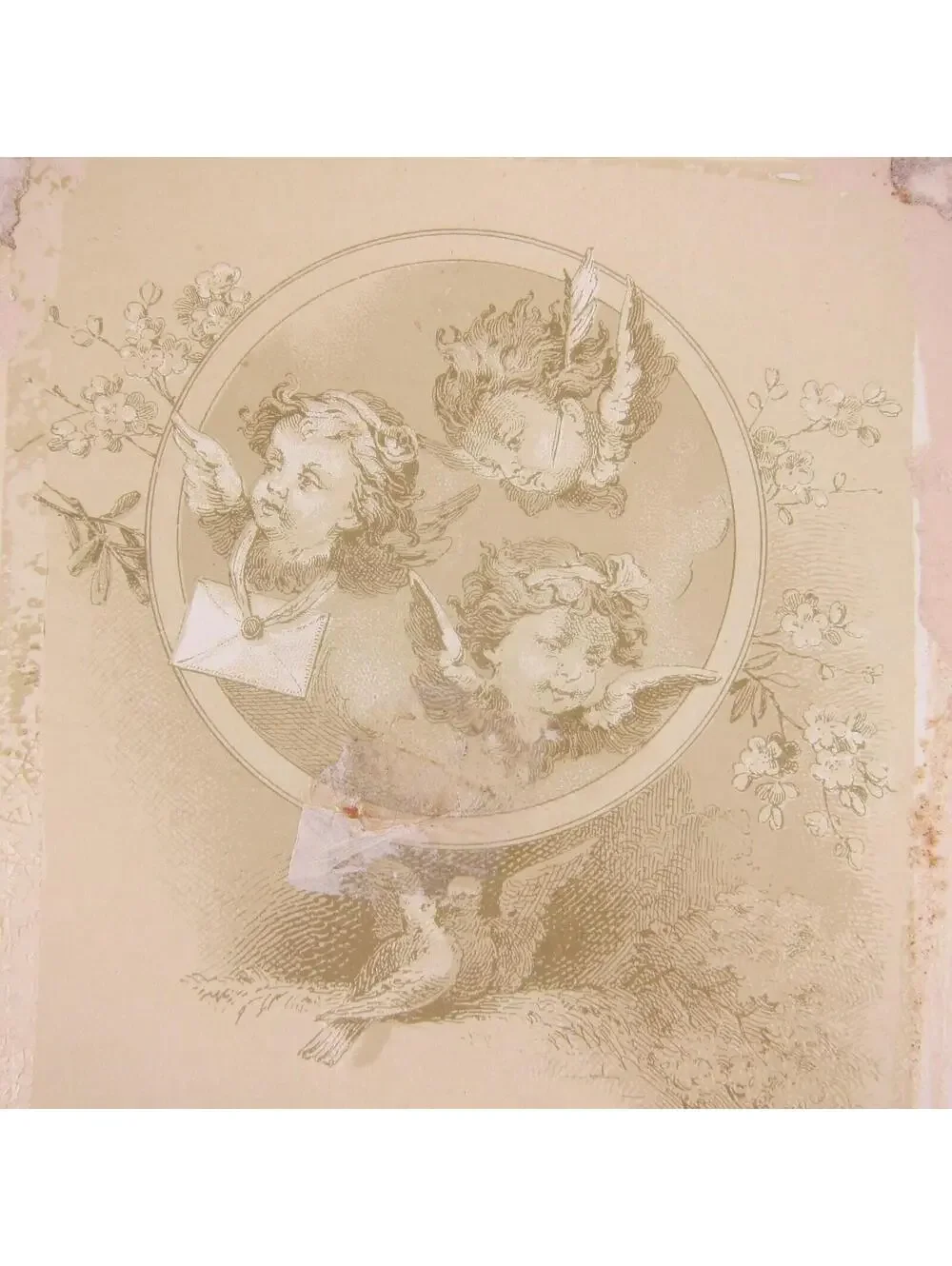 Victorian Christmas Card Flowers Pink Purple Yellow Back Cherubs Birds Antique